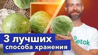 КАПУСТА СОХРАНИТСЯ СОЧНОЙ И ХРУСТЯЩЕЙ ДО ВЕСНЫ! 3 лучших способа хранения в погребе и на балконе