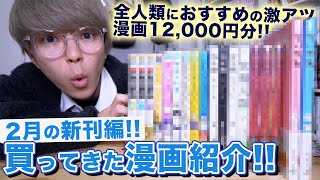 【ちいかわ】激オススメ漫画しかない！2月の買ってきた漫画紹介！！