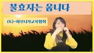 불효자는 웁니다(F#m) 트레몰로 임지수