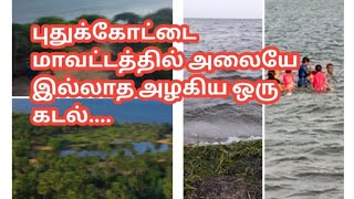 Mannvasanai: கோடியக்கரை பீச் அலையே இல்லாத ஒரு பீச்!, மணமேல்குடி,புதுக்கோட்டையில்,kodiyakkarai beach