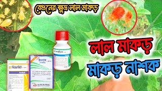 বেগুনের লাল মাকড়। লাল মাকড় দমন ১০০% - Agro Shafin