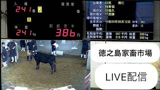 徳之島家畜市場 のライブ配信（令和5年 6月2日目)
