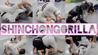 20210512 ShinChonGorilla Sparring 하이라이트