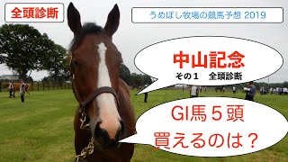 【中山記念】競馬予想 2019 全頭診断 ～強いGI馬が揃った中、軸候補は～