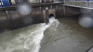 台風による川の増水【妙正寺川　2019/10/12】