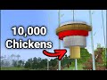 How I made the Ultimate Chicken Farm