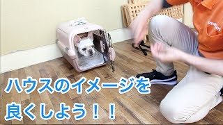 ハウスのイメージを良くしよう！〜犬のしつけは大阪のsmart-dog〜