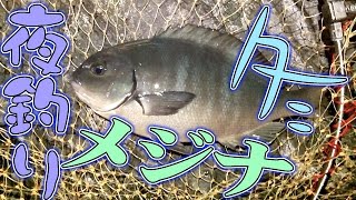 冬の磯に夜釣りに行こう！ 離島の磯釣り Surf-fishing