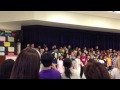 munchkin spring performance 2