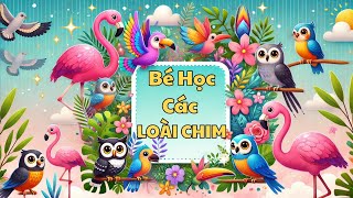 Chim Gì Đây? Những chú chim SIÊU DỄ THƯƠNG đang chờ bé khám phá!