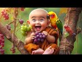 little monk so cute 🍀🍀🍀🍀 #youtube #youtubeshorts #monk #littlemonk #littlebaby #foryou #trending