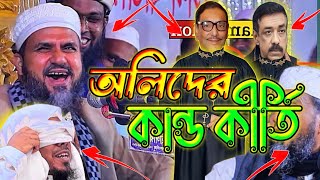 অলিদের কান্ড কীর্তি।মোস্তাক ফয়েজী নতুন ওয়াজ ২০২৫।mostak foyezi new waz 2025।Imam vision