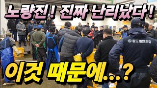 노량진 수산 어시장 딱 7시간! 횟감 도매 판매 장소? 단돈 3만원대 최저가 구매 방법 공개! Korean fish market channel