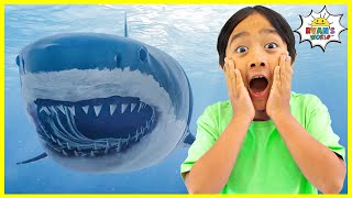 Learn about Shark Facts for Kids with Ryan!
