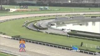 2010年10月23日 京都4R 障害未勝利 アスカノユタカ