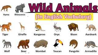 50 wild animals name in english and hindi || 50 जंगली जानवरों के नाम || 50 wild animals name ।#wild