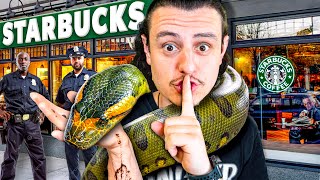 My Snakes Got Me Kicked Out Of Starbucks!