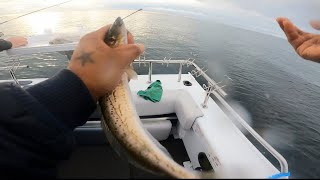 Nice season on king george whiting fishing port phillip bay🎣🎣