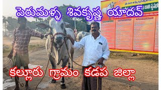 నాదెండ్ల గ్రామం జూనియర్ విభాగంకి వచ్చిన పెరుమళ్ళ శివ కృష్ణ యాదవ్ గారు కల్లూరు గ్రామం |  కడప జిల్లా