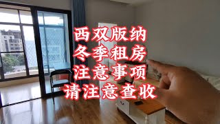 【小龙在版纳】西双版纳，冬季租房。2024-8-14