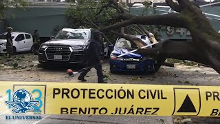 Árbol aplasta automóviles por fuertes vientos en Benito Juárez