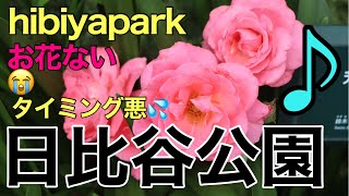 【日比谷公園1】にお邪魔しました♡2021年5月下旬