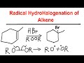 Radical Hydrohalogenation of Alkene - Anti-Markovnikov - Organic Chemistry