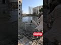 bronze line gf slab slab shorts shortvideo short civilengineering