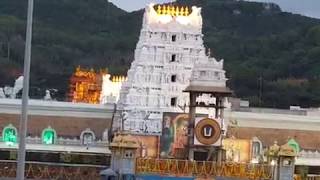 திருப்பதி கும்பகலசம் Tirupati kumbabishekam