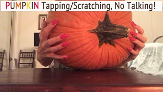 ASMR * Pumpkin Tapping \u0026 Scratching! * Fast Tapping * No Talking * ASMRVilla