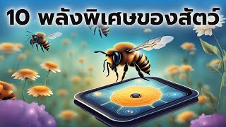 10 พลังพิเศษของสัตว์น่าทึ่งเหนือมนุษย์