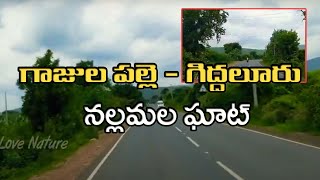 గాజులపల్లె నుంచి నల్లమల అడవుల్లోకి వెళ్తున్నాం | Entering Into Nallamala Forest From Gajulapalle