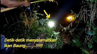 Mancing Ikan Baung Malam Hari ‼️ Sekalian Camping malam,Ngeriii Tapi Seruu.....‼️