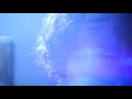Roland LaBonté - Dancing Under the Moon (Official Music Video)