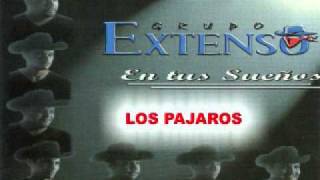 grupo extenso 1 los pajaros.wmv