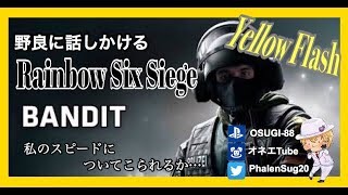 ［配信］オネエが野良に話しかけながらレインボーシックスシージ（概要欄確認必須）