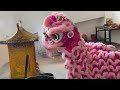 lion dance prayer tar umt 拉曼理工大学龙狮团 醒狮參拜 central i city