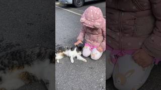 Katy met Cute Cat!🐱Part 2🥳 #cute #shorts #funny #cat