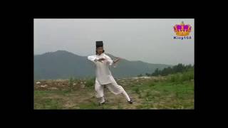 武當太極十三式~陳師行道長完整演示 Wudang Tai Chi 13 form