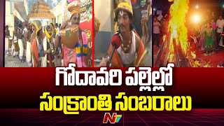 గోదావరి పల్లెల్లో సంక్రాంతి సంబరాలు | Sankranti Celebrations 2025 | Special Report | Ntv