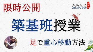 【期間限定】１月の24式太極拳築基班授業動画/重心移動方/知道堂/劉暎渲