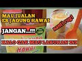 WAJIB !! LAKUKAN INI SAAT JUALAN ES JAGUNG HAWAI