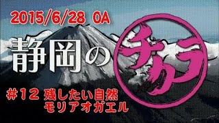 静岡のチカラ#12 2015/6/28放送