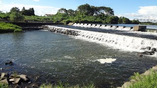 【バス釣り】小貝川やや上流でスモール・ラージ両方釣れる堰発見！