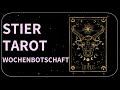 WOCHENORAKEL 25.11.-01.12.2024 STIER ♉️| Aussprache. Kommunikation ist der Schlüssel...