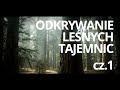 Film edukacyjny o lesie pt. Człowiek i drzewo — czyta: K. Czubówna