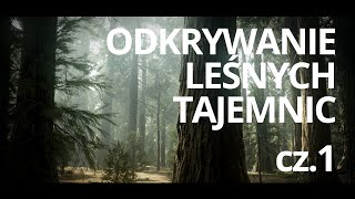 Film edukacyjny o lesie pt. Człowiek i drzewo — czyta: K. Czubówna