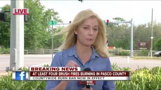 At least four brush fires burning in Pasco County