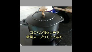 staubココハン16センチで野菜スープつくってみた