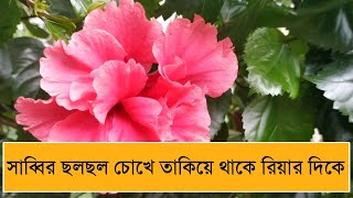 সাব্বির ছলছল চোখে তাকিয়ে থাকে রিয়ার দিকে